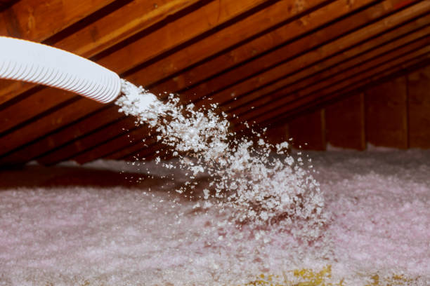 Best Cellulose Insulation in Old Fig Garden, CA