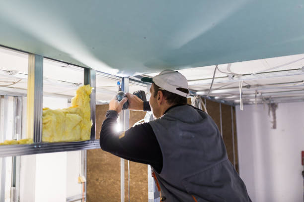 Types of Insulation We Offer in Old Fig Garden, CA