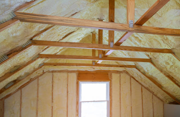 Best Geographic-Specific Insulation Services in Old Fig Garden, CA