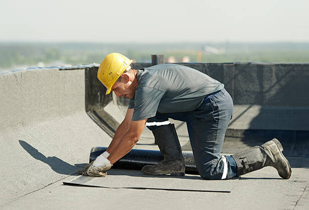 Best Commercial Insulation in Old Fig Garden, CA