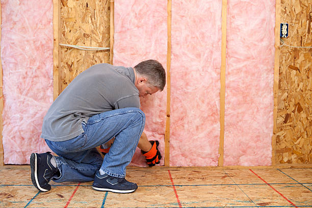 Best Insulation for Specific Applications in Old Fig Garden, CA